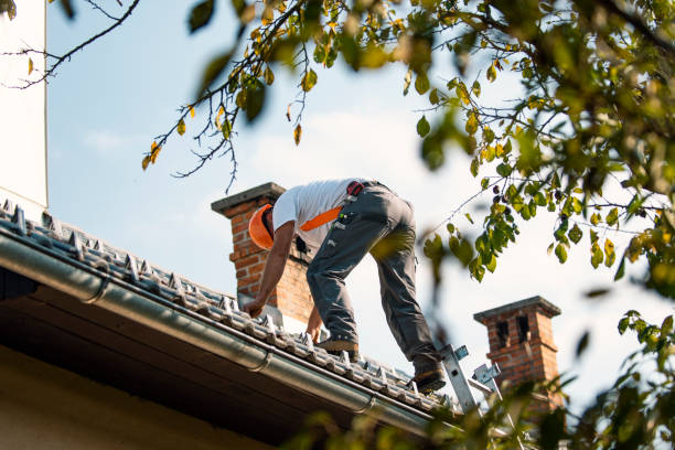 Best Flat Roof Repair Services  in Southaven, MS
